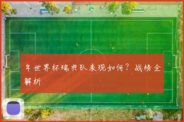 年世界杯瑞典队表现如何?战绩全解析