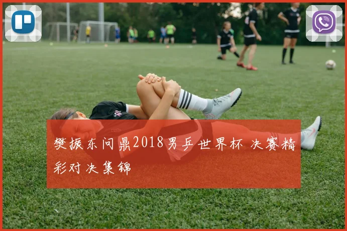 樊振东问鼎2018男乒世界杯 决赛精彩对决集锦