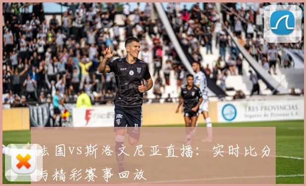 法国vs斯洛文尼亚直播：实时比分与精彩赛事回放