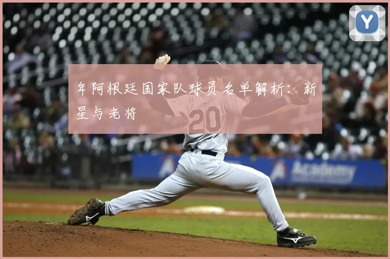年阿根廷国家队球员名单解析:新星与老将