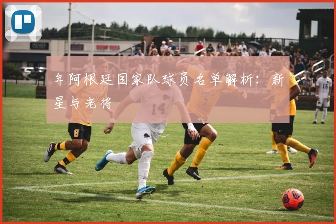 年阿根廷国家队球员名单解析:新星与老将